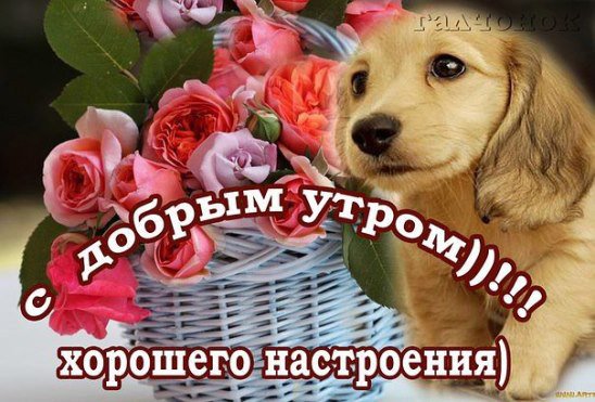 С первым днем зимы доброе утро