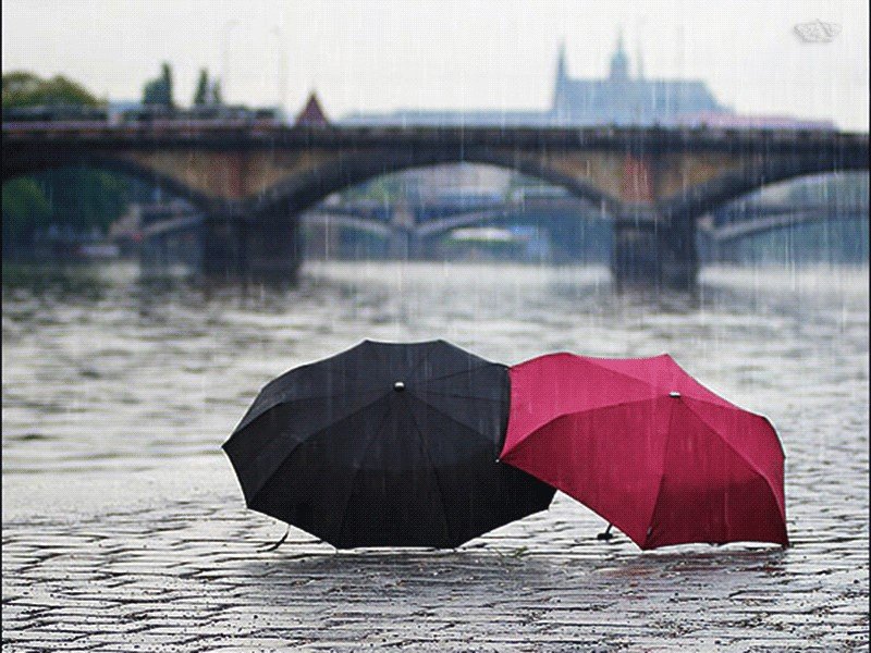 Одолжил ей зонтик. Дождь зонт. Зонт под дождем. Зонтик любви. Ливень зонт.