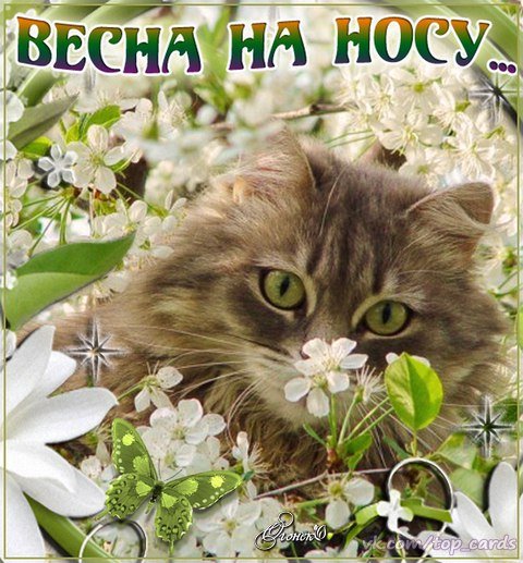 Открытка Весна на носу