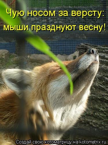 Зима пришла