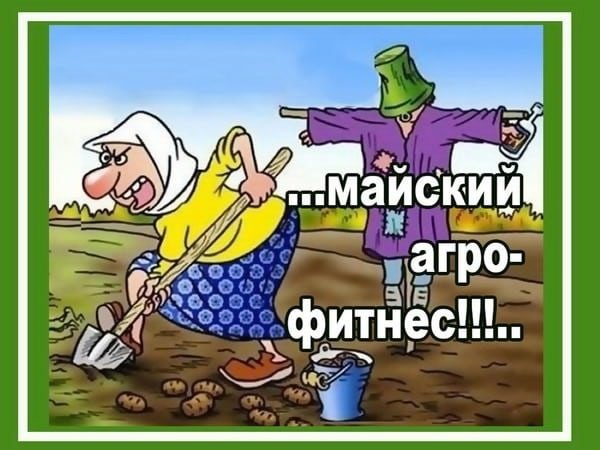 Анекдоты про огород