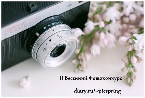 8 Марта фотоаппарат