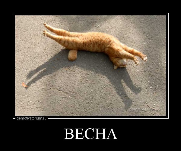 Весна пришла приколы