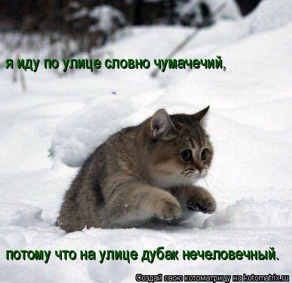 На улице дубак картинки