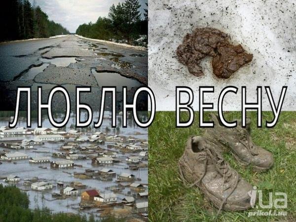 Смешные цитаты про весну
