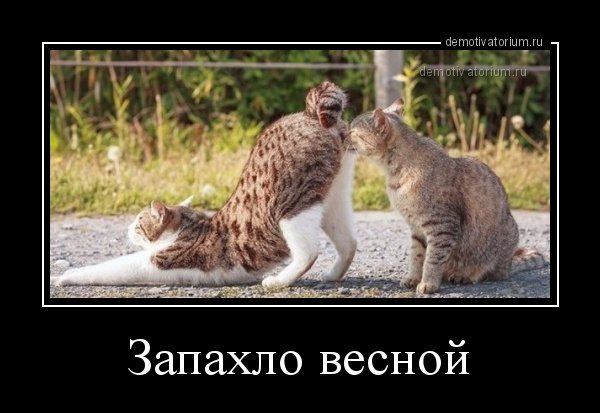 Приколы про наступление весны