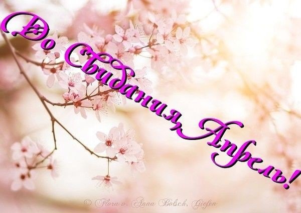 Открытки конец июля