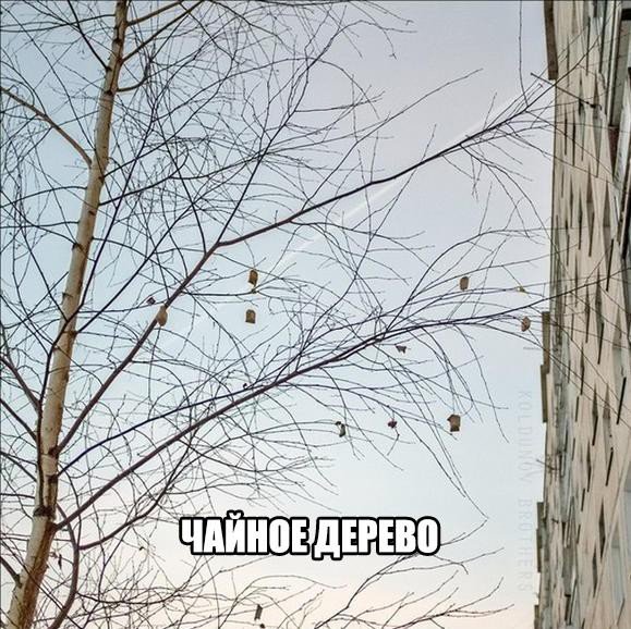 Ржачные надписи до слез для поднятия настроения