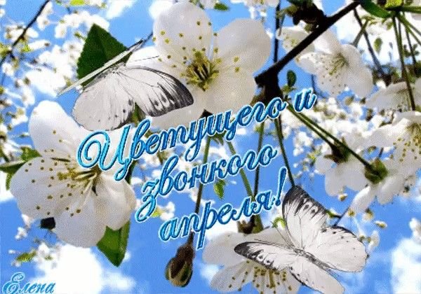 Доброе Весеннее утро апреля