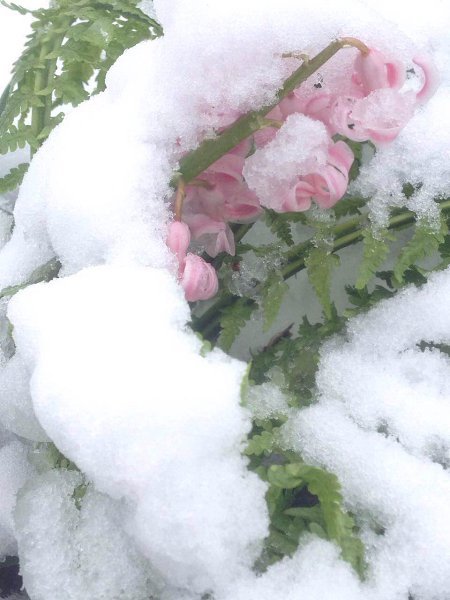 Весна надпись на снегу