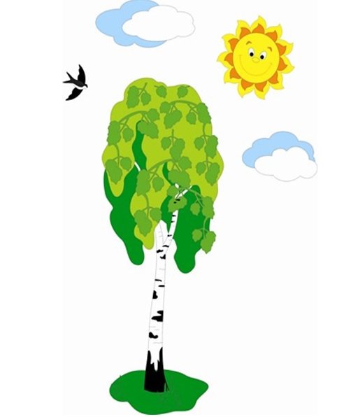 Молодая береза