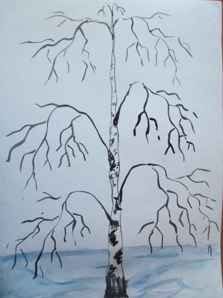 Береза весной летом и осенью