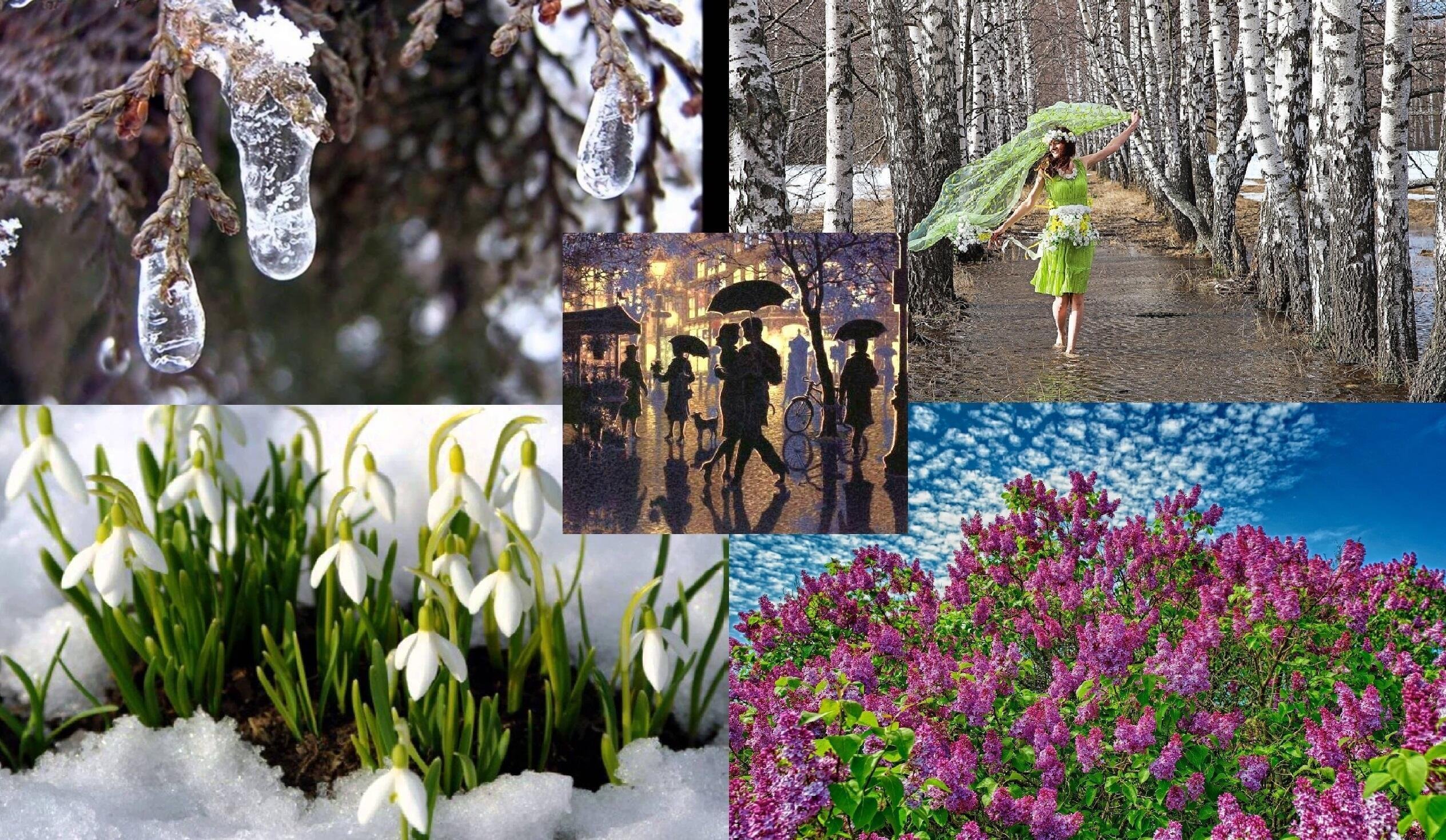 Название весенних месяцев связанных с живой природой. “Пробуждение весны” Ведекинда. Природа оживает весной. Весенняя тема.