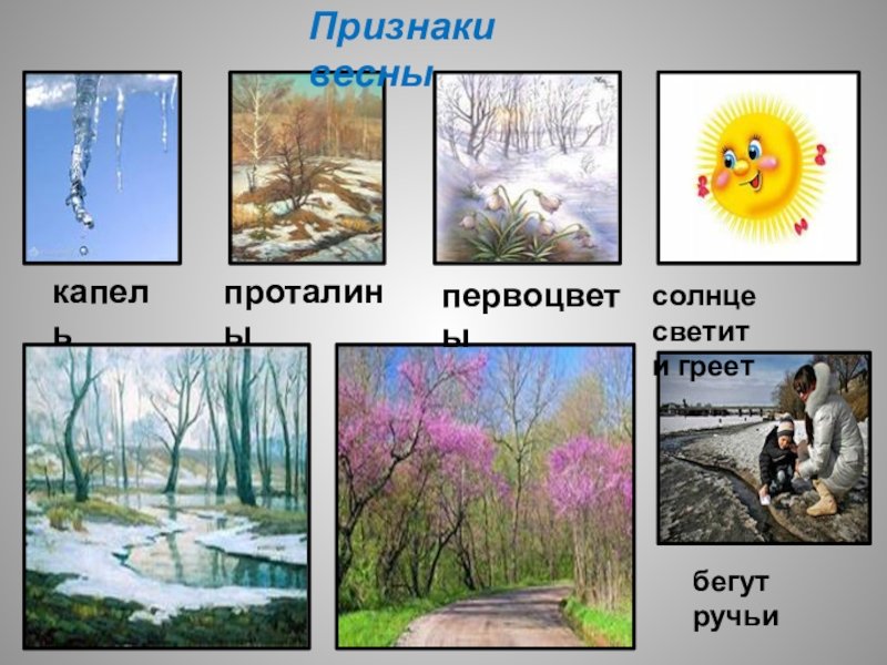 Изменения с приходом весны. Признаки весны. Иллюстрации с изображением признаков весны.