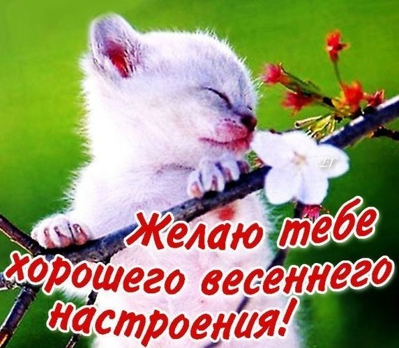 Весенние пожелания