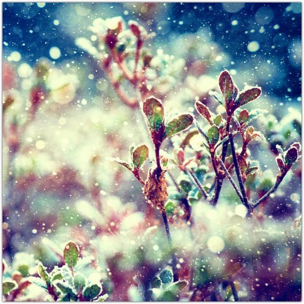 Весенняя аватарка для группы