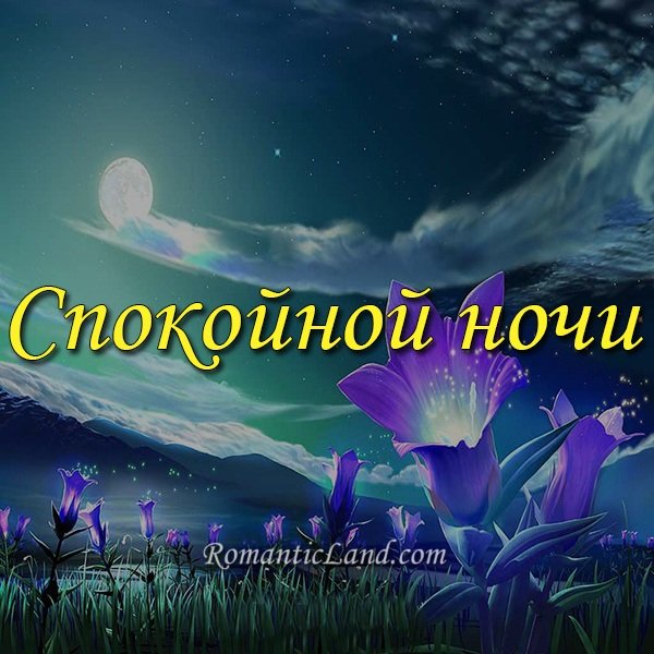 Спокойной ночи весенние цветы с надписями