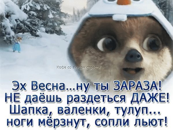 Странный предмет Мем