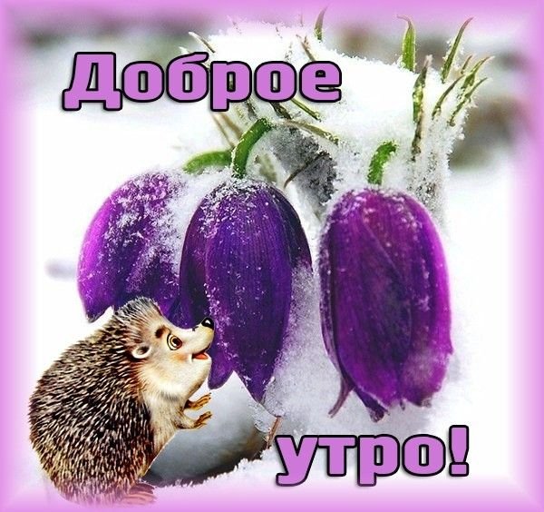 Открытки с добрым утром весенние