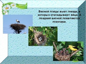 Гнездо Грача