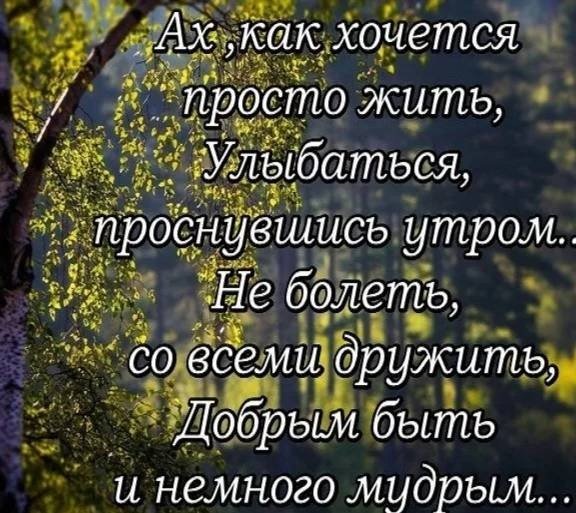 Весна без аллергии