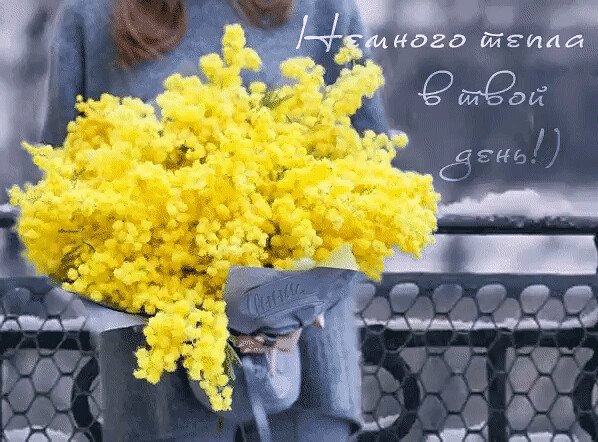 Зимняя роза стихи