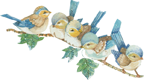 Красивые птички на прозрачном фоне