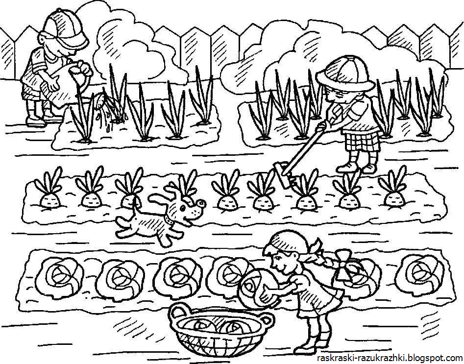 Рисование труд людей весной. Раскраска. В огороде. Огород раскраска для детей. Раскраска овощи на грядке. Овощи на грядке раскраска для детей.