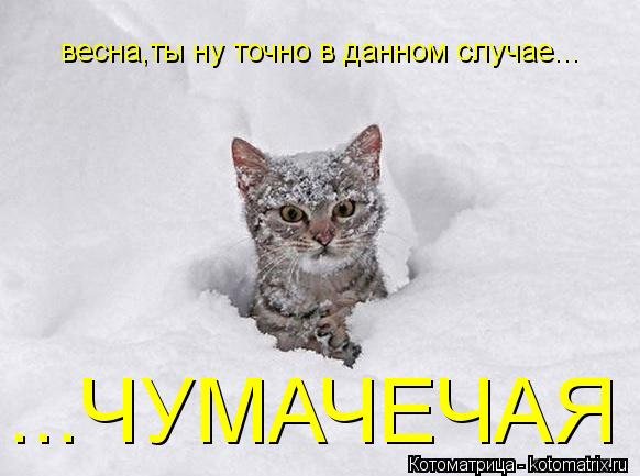 Чумачечая Весна