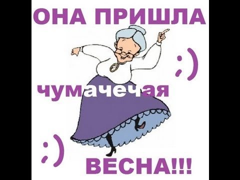 Весна любовь приколы