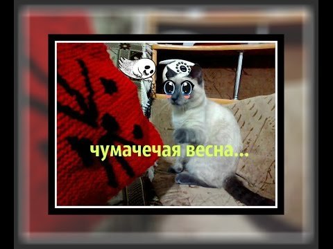 Снеговик на скамейке