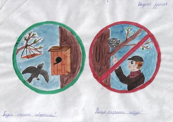 Плакат на тему защита птиц