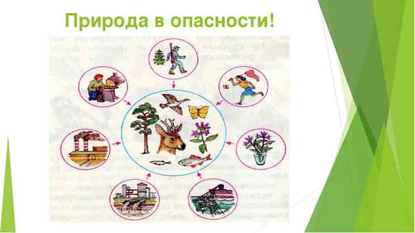 Природа в опасности окружающий мир