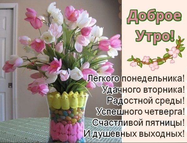 Доброе Весеннее утро понедельника