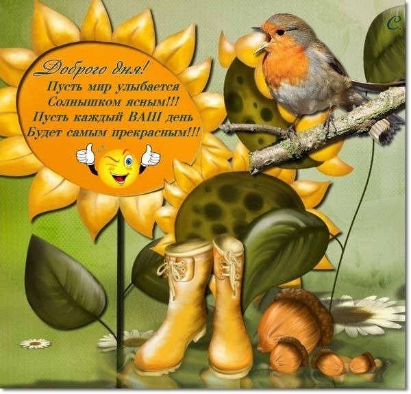 Добрых выходных и весеннего настроения