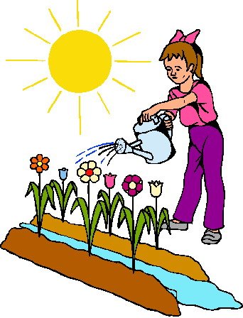 Посадка цветов на участке детского сада