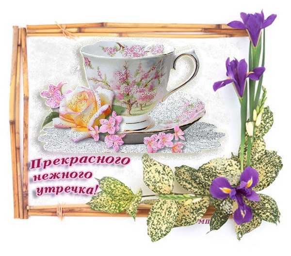 Открытки доброе утро хорошего дня