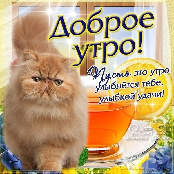 Пожелания с добрым весенним утром