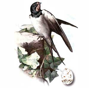 Весна красна рисунок