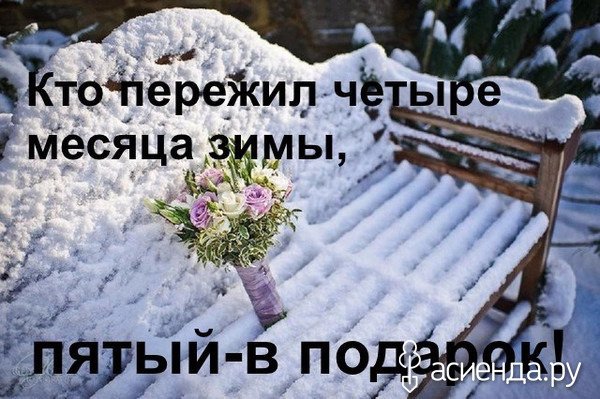 Месяц зимы в подарок