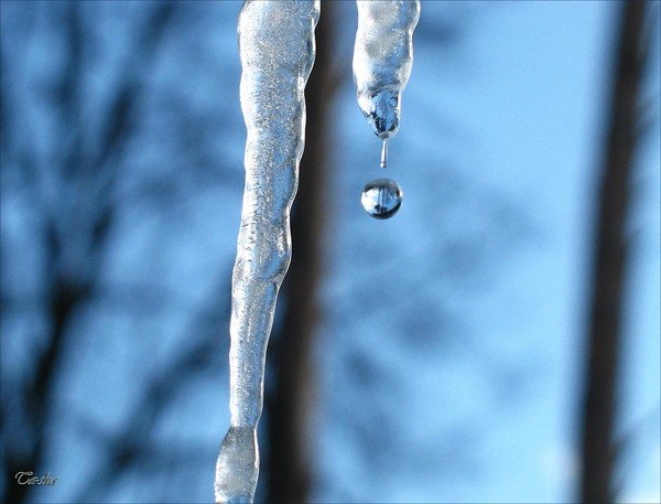 Весенняя капель для детей