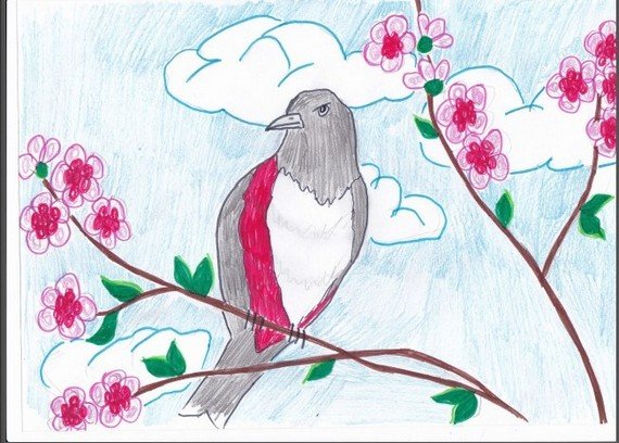 Весенние рисунки карандашом легкие и красивые