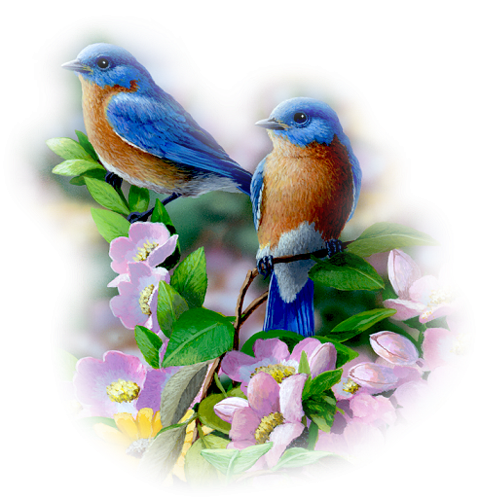 Утро Весна птицы