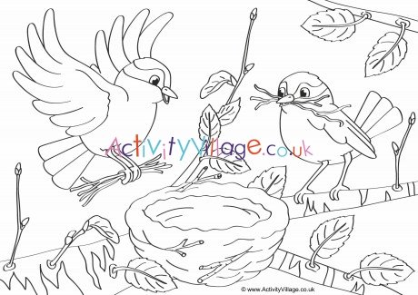 Бесплатные раскраски птицы. Распечатать раскраски бесплатно и скачать раскраски онлайн.