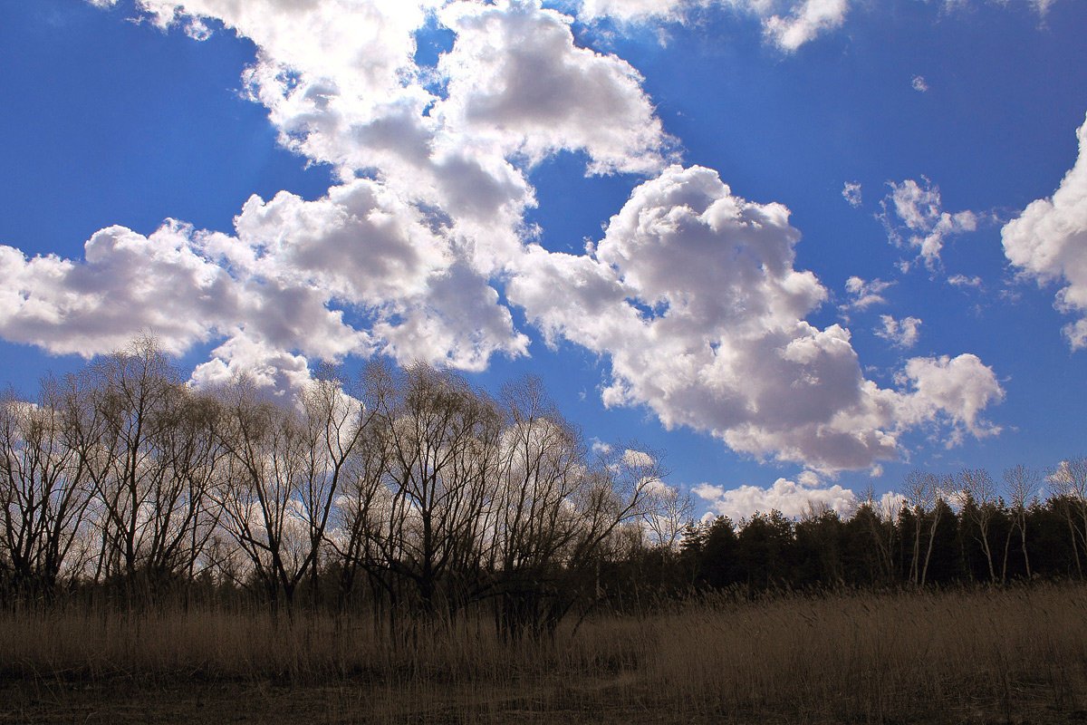 Весенний воздух чистый и свежий тире. Весеннее небо. Весенние облака. Небо весной. Облака весной.