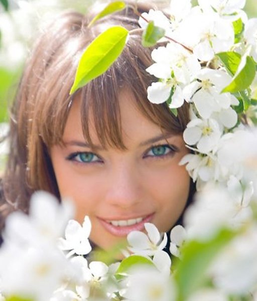 Девушка в Васильковом поле