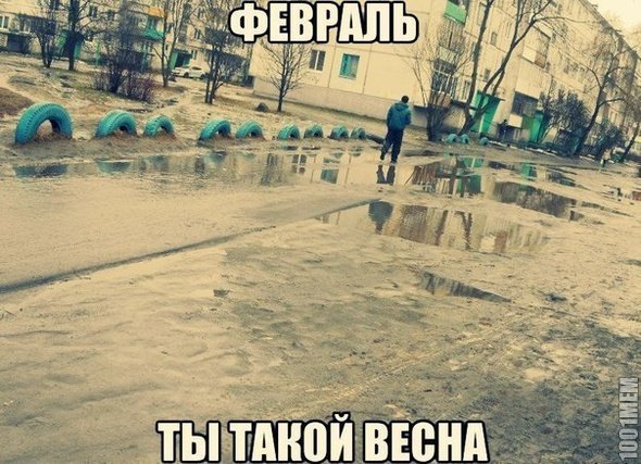 Приколы про февраль в картинках