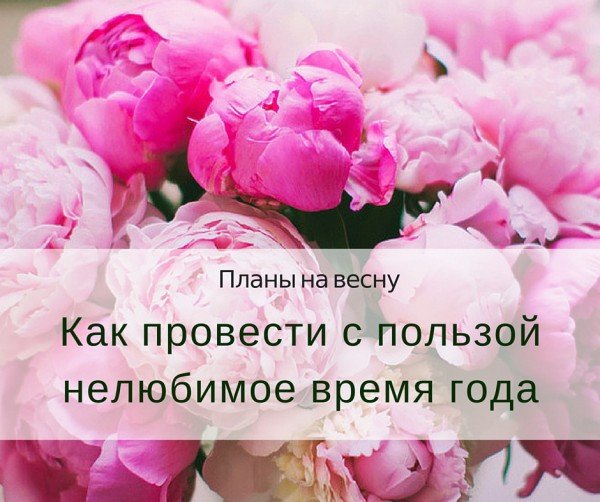 План рассказа о весне