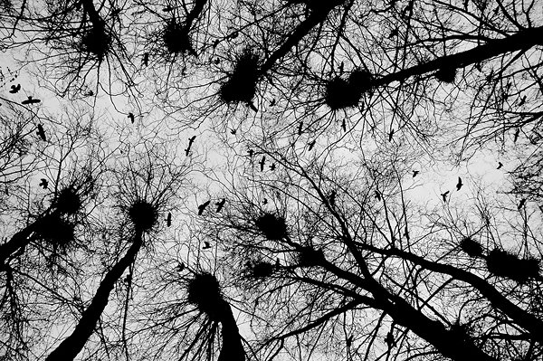 Avogado6 одиночество