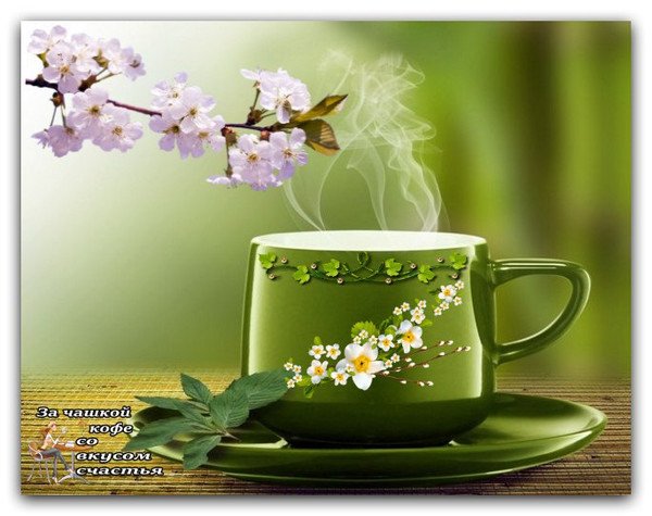 Утренний натюрморт с цветами